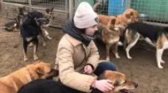 Як стати добровольцем у притулку для тварин